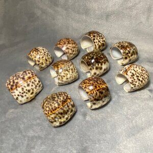 Vintage Tiger Cowrie Napkin Rings set of 10 Shell Neutral Natural